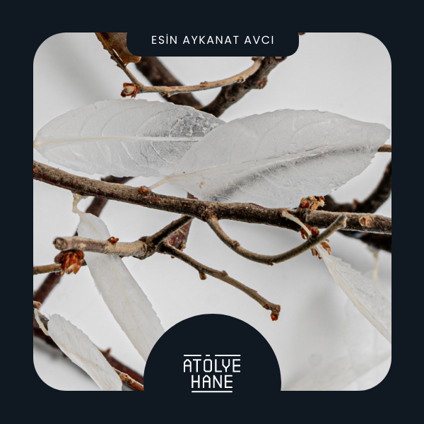 ESİN AYKANAT AVCI